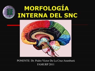 MORFOLOGÍA  INTERNA DEL SNC PONENTE: Dr. Pedro Victor De La Cruz Aramburú FAMURP 2011 