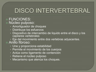    FUNCIONES:
   Núcleo pulposo:
    • Amortiguador de choques
    • Distribuye los esfuerzos
    • Dispositivo de intercambio de liquido entre el disco y los
      capilares vertebrales
    • Eje del movimiento entre dos vertebras adyacentes.
   Anillo fibroso:
    •   Une y proporciona estabilidad
    •   Permite el movimiento de los cuerpos
    •   Actúa como ligamento de contención
    •   Retiene el núcleo pulposo
    •   Mecanismo que atenúa los choques.
 