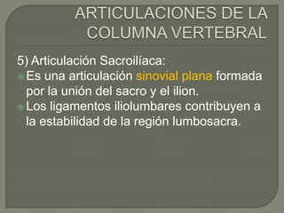 5) Articulación Sacroilíaca:
 Es una articulación sinovial plana formada
  por la unión del sacro y el ilion.
 Los ligamentos iliolumbares contribuyen a
  la estabilidad de la región lumbosacra.
 