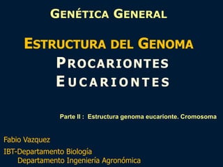 GENÉTICA GENERAL
ESTRUCTURA DEL GENOMA
PROCARIONTES
Fabio Vazquez
IBT-Departamento Biología
Departamento Ingeniería Agronómica
E U C A R I O N T E S
Parte II : Estructura genoma eucarionte. Cromosoma
 