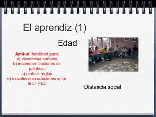 El aprendiz (1) 
Edad 
Aptitud: habilidad para: 
a) discriminar sonidos 
b) reconocer funciones de 
palabras 
c) deducir reglas 
d) establecer asociaciones entre 
la L1 y L2 
Distancia social 
 
