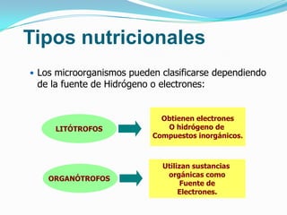 Tipos nutricionales
 Los microorganismos pueden clasificarse dependiendo
 de la fuente de Hidrógeno o electrones:


                             Obtienen electrones
     LITÓTROFOS               O hidrógeno de
                           Compuestos inorgánicos.



                              Utilizan sustancias
                               orgánicas como
    ORGANÓTROFOS
                                    Fuente de
                                   Electrones.
 