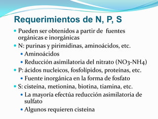 Requerimientos de N, P, S
 Pueden ser obtenidos a partir de fuentes
  orgánicas e inorgánicas
 N: purinas y pirimidinas, aminoácidos, etc.
   Aminoácidos
   Reducción asimilatoria del nitrato (NO3-NH4)
 P: ácidos nucleicos, fosfolípidos, proteínas, etc.
   Fuente inorgánica en la forma de fosfato
 S: cisteína, metionina, biotina, tiamina, etc.
    La mayoría efectúa reducción asimilatoria de
     sulfato
    Algunos requieren cisteína
 