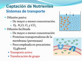 Captación de Nutrientes
 Sistemas de transporte
 Difusión pasiva
     De mayor a menor concentración.
     Ej.. H2O, O2 y CO2
 Difusión facilitada
     De mayor a menor concentración
     Proteínas transportadoras de la
      membrana (permeasas)
     Poco empleada en procariotes
       Ej.glicerol
   Transporte activo
   Translocación de grupo
 
