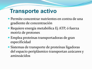 Transporte activo
 Permite concentrar nutrientes en contra de una
  gradiente de concentración
 Requiere energía metabólica Ej ATP, ó fuerza
  motriz de protones
 Emplea proteínas transportadoras de gran
  especificidad
 Sistemas de transporte de proteínas ligadoras
  del espacio periplásmico transportan azúcares y
  aminoácidos
 