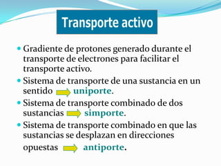  Gradiente de protones generado durante el
  transporte de electrones para facilitar el
  transporte activo.
 Sistema de transporte de una sustancia en un
  sentido      uniporte.
 Sistema de transporte combinado de dos
  sustancias      simporte.
 Sistema de transporte combinado en que las
  sustancias se desplazan en direcciones
  opuestas        antiporte.
 