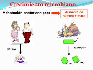 Crecimiento microbiano
Adaptación bacteriana para:    Aumento de
                              número y masa




                                    30 minutos
  30 años
 
