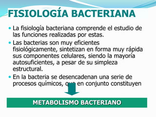 FISIOLOGÍA BACTERIANA
 La fisiología bacteriana comprende el estudio de
  las funciones realizadas por estas.
 Las bacterias son muy eficientes
  fisiológicamente, sintetizan en forma muy rápida
  sus componentes celulares, siendo la mayoría
  autosuficientes, a pesar de su simpleza
  estructural.
 En la bacteria se desencadenan una serie de
  procesos químicos, que en conjunto constituyen


         METABOLISMO BACTERIANO
 