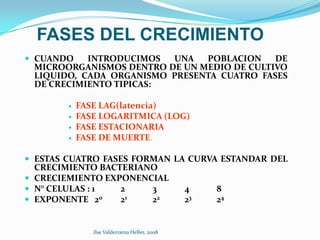 FASES DEL CRECIMIENTO
 CUANDO   INTRODUCIMOS  UNA   POBLACION    DE
 MICROORGANISMOS DENTRO DE UN MEDIO DE CULTIVO
 LIQUIDO, CADA ORGANISMO PRESENTA CUATRO FASES
 DE CRECIMIENTO TIPICAS:

           FASE LAG(latencia)
           FASE LOGARITMICA (LOG)
           FASE ESTACIONARIA
           FASE DE MUERTE.

 ESTAS CUATRO FASES FORMAN LA CURVA ESTANDAR DEL
  CRECIMIENTO BACTERIANO
 CRECIEMIENTO EXPONENCIAL
 N° CELULAS : 1  2    3                      4    8
 EXPONENTE 20    21   22                     23   24


               Ilse Valderrama Heller, 2008
 