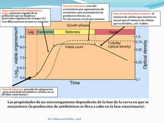 Fase estacionaria: cese del
•Fase exponencial o logarítmica                  crecimiento por agotamiento de
(log): aumento regular de la                     nutrientes, por acumulación de   Fase de declinación o muerte: el
población que se duplica a                       productos tóxicos, etc.          número de células que mueren es
intervalos regulares de tiempo (G).              N|°cel.nuevas=n°cel.que mueren   mayor que el número de células
•Los Bllactamicos actuan en esta fase
                                                                                  que se dividen.↓cel. viables




•Fase de latencia: período de adaptación
, gran actividad metabólica, células no se
dividen (min-horas )

    Las propiedades de un microorganismo dependerán de la fase de la curva en que se
    encuentren (la producción de antibióticos se lleva a cabo en la fase estacionaria).


                                     Ilse Valderrama Heller, 2008
 