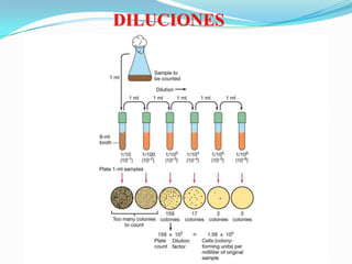 DILUCIONES
 