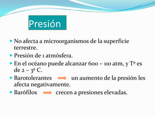 Presión
 No afecta a microorganismos de la superficie
  terrestre.
 Presión de 1 atmósfera.
 En el océano puede alcanzar 600 – 110 atm, y Tº es
  de 2 – 3º C.
 Barotolerantes        un aumento de la presión les
  afecta negativamente.
 Barófilos       crecen a presiones elevadas.
 