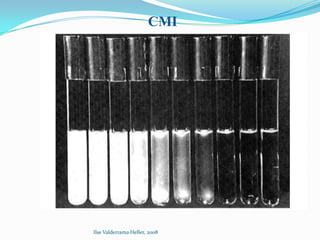 CMI




Ilse Valderrama Heller, 2008
 