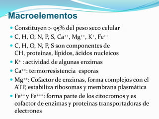 Macroelementos
 Constituyen > 95% del peso seco celular
 C, H, O, N, P, S, Ca++, Mg++, K+, Fe++
 C, H, O, N, P, S son componentes de
  CH, proteínas, lípidos, ácidos nucleicos
 K+ : actividad de algunas enzimas
 Ca++: termorresistencia esporas
 Mg++: Cofactor de enzimas, forma complejos con el
  ATP, estabiliza ribosomas y membrana plasmática
 Fe++ y Fe+++: forma parte de los citocromos y es
  cofactor de enzimas y proteínas transportadoras de
  electrones
 