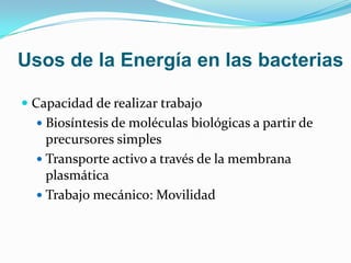 Usos de la Energía en las bacterias

 Capacidad de realizar trabajo
   Biosíntesis de moléculas biológicas a partir de
    precursores simples
   Transporte activo a través de la membrana
    plasmática
   Trabajo mecánico: Movilidad
 