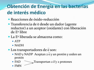 Obtención de Energía en las bacterias
de interés médico
 Reacciones de óxido-reducción
 Transferencia de e desde un dador (agente
  reductor) a un aceptor (oxidante) con liberación
  de Eº libre
 La Eº liberada se almacena como:
   ATP
   NADH
 Los transportadores de e son:
   NAD y NADP Aceptan 2 e y un protón y ceden un
    protón
   FAD         Transportan 2 e y 2 protones
   FMN
 