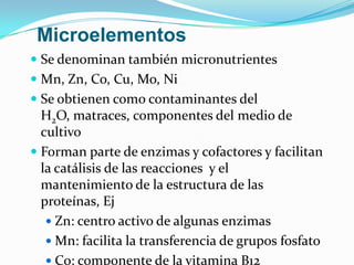 Microelementos
 Se denominan también micronutrientes
 Mn, Zn, Co, Cu, Mo, Ni
 Se obtienen como contaminantes del
  H2O, matraces, componentes del medio de
  cultivo
 Forman parte de enzimas y cofactores y facilitan
  la catálisis de las reacciones y el
  mantenimiento de la estructura de las
  proteínas, Ej
    Zn: centro activo de algunas enzimas
    Mn: facilita la transferencia de grupos fosfato
    Co: componente de la vitamina B12
 