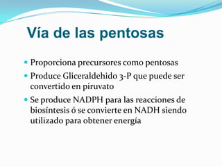Vía de las pentosas
 Proporciona precursores como pentosas
 Produce Gliceraldehido 3-P que puede ser
 convertido en piruvato
 Se produce NADPH para las reacciones de
  biosíntesis ó se convierte en NADH siendo
  utilizado para obtener energía
 