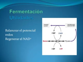 Balancear el potencial
redox
Regenerar el NAD+
 
