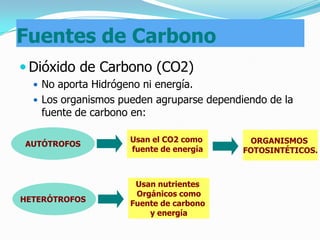 Fuentes de Carbono
 Dióxido de Carbono (CO2)
   No aporta Hidrógeno ni energía.
   Los organismos pueden agruparse dependiendo de la
   fuente de carbono en:

                      Usan el CO2 como       ORGANISMOS
AUTÓTROFOS
  :                  fuente de energía    FOTOSINTÉTICOS.



                       Usan nutrientes
                       Orgánicos como
HETERÓTROFOS          Fuente de carbono
                          y energía
 