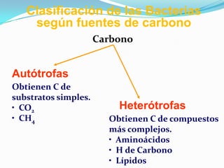 Clasificación de las Bacterias
    según fuentes de carbono
                      Carbono


Autótrofas
Obtienen C de
substratos simples.
• CO2                     Heterótrofas
• CH4                   Obtienen C de compuestos
                        más complejos.
                        • Aminoácidos
                        • H de Carbono
                        • Lípidos
 
