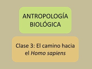 ANTROPOLOGÍA BIOLÓGICA Clase 3: El camino hacia el Homo sapiens 