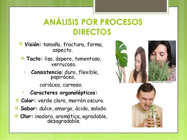 áspero charla drogas áspero charla drogas