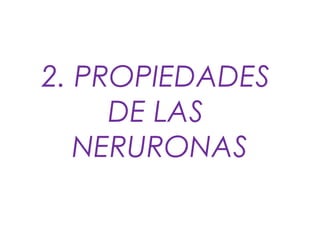 2. PROPIEDADES
DE LAS
NERURONAS
 