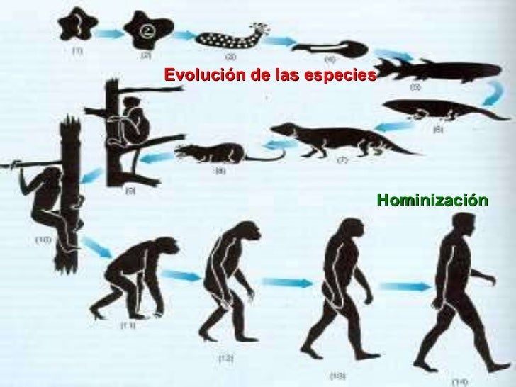 Resultado de imagen de teoria de las transformaciones infinitas