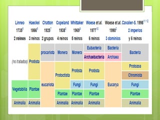 Clase 3 los reinos vivos
