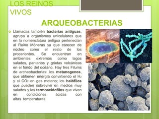 LOS REINOS
VIVOS
ARQUEOBACTERIAS
 Llamadas también bacterias antiguas,
agrupa a organismos unicelulares que
en la nomenclatura antigua pertenecían
al Reino Móneras ya que carecen de
núcleo como el resto de los
procariontes. Se encuentran en
ambientes extremos como lagos
salados, pantanos y grietas volcánicas
en el fondo del océano. Hay tres Filums
de archeobacterias: los metanogenos,
que obtienen energía convirtiendo el H2
y el CO2 en gas metano; los halófilos
que pueden sobrevivir en medios muy
salados y los termoacidofilos que viven
en condiciones ácidas con
altas temperaturas.
 