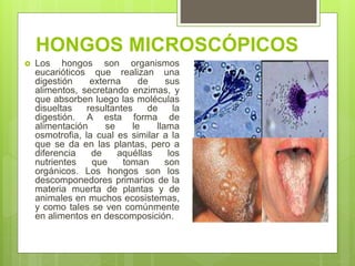 HONGOS MICROSCÓPICOS
 Los hongos son organismos
eucarióticos que realizan una
digestión externa de sus
alimentos, secretando enzimas, y
que absorben luego las moléculas
disueltas resultantes de la
digestión. A esta forma de
alimentación se le llama
osmotrofia, la cual es similar a la
que se da en las plantas, pero a
diferencia de aquéllas los
nutrientes que toman son
orgánicos. Los hongos son los
descomponedores primarios de la
materia muerta de plantas y de
animales en muchos ecosistemas,
y como tales se ven comúnmente
en alimentos en descomposición.
 