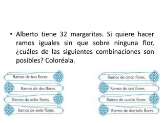 • Alberto tiene 32 margaritas. Si quiere hacer
ramos iguales sin que sobre ninguna flor,
¿cuáles de las siguientes combinaciones son
posibles? Coloréala.
 