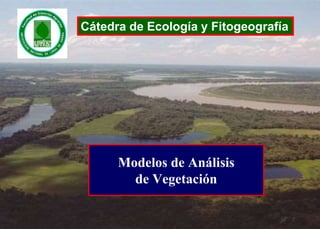 Modelos de Análisis
de Vegetación
Cátedra de Ecología y Fitogeografía
 