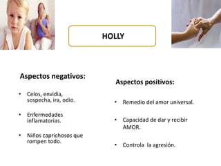 Aspectos negativos: 
• Celos, envidia, 
sospecha, ira, odio. 
• Enfermedades 
inflamatorias. 
• Niños caprichosos que 
rompen todo. 
HOLLY 
Aspectos positivos: 
• Remedio del amor universal. 
• Capacidad de dar y recibir 
AMOR. 
• Controla la agresión. 
 