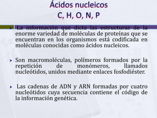 Ácidos nucleicos C, H, O, N, P<br /> La información que dicta las estructuras de la enorme variedad de moléculas de proteí...