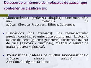 De acuerdo al número de moléculas de azúcar que contienen se clasifican en:<br />Monosacáridos (azúcares simples): contien...