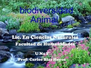 U Na F
Prof. Carlos Blas Hoyos
Animal
Lic. En Ciencias Naturales
Facultad de Humanidades
biodiversidad
 