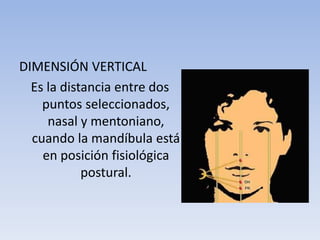 DIMENSIÓN VERTICAL
Es la distancia entre dos
puntos seleccionados,
nasal y mentoniano,
cuando la mandíbula está
en posición fisiológica
postural.
 