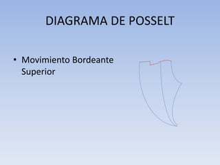 DIAGRAMA DE POSSELT
• Movimiento Bordeante
Superior
 