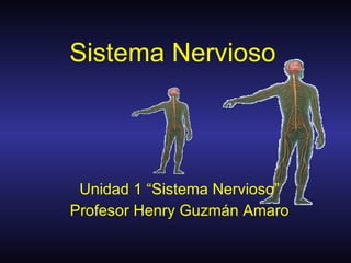 Sistema Nervioso Unidad 1 “Sistema Nervioso” Profesor Henry Guzmán Amaro 