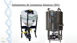 Aislamiento de sustancias húmicas (SH):
Sustancias húmicas
 