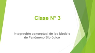 Clase N° 3
Integración conceptual de los Modelo
de Fenómeno Biológico
 
