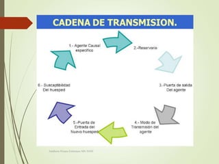 Adalberto Pizarro Enfermero MN 50305
 