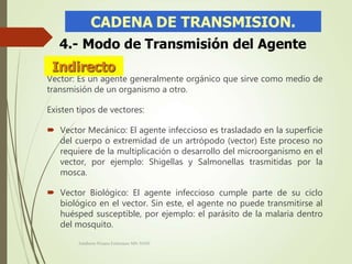 Vector: Es un agente generalmente orgánico que sirve como medio de
transmisión de un organismo a otro.
Existen tipos de vectores:
 Vector Mecánico: El agente infeccioso es trasladado en la superficie
del cuerpo o extremidad de un artrópodo (vector) Este proceso no
requiere de la multiplicación o desarrollo del microorganismo en el
vector, por ejemplo: Shigellas y Salmonellas trasmitidas por la
mosca.
 Vector Biológico: El agente infeccioso cumple parte de su ciclo
biológico en el vector. Sin este, el agente no puede transmitirse al
huésped susceptible, por ejemplo: el parásito de la malaria dentro
del mosquito.
Adalberto Pizarro Enfermero MN 50305
 