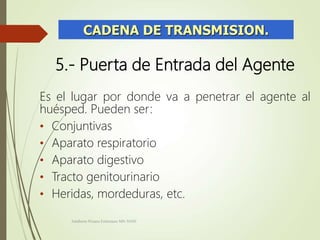 5.- Puerta de Entrada del Agente
Es el lugar por donde va a penetrar el agente al
huésped. Pueden ser:
• Conjuntivas
• Aparato respiratorio
• Aparato digestivo
• Tracto genitourinario
• Heridas, mordeduras, etc.
CADENA DE TRANSMISION.
Adalberto Pizarro Enfermero MN 50305
 