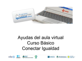 Ayudas del aula virtual
Curso Básico
Conectar Igualdad