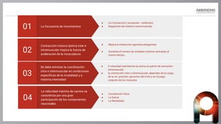 Se debe entrenar la coordinación
intra e intermuscular en condiciones
específicas de la modalidad y a
máxima intensidad
03
● A velocidad submáxima se activa un patrón de inervación
intramuscular
● la contracción inter e intramuscular, dependen de la carga,
de la vel. posición, ejecución del mvto y en el juego
conjunto de los músculos
Contracción motora óptima inter e
intramuscular mejora la fuerza de
aceleración de la musculatura
02
● Mejora la interacción agonista-antagonista
● Aumenta el número de unidades motoras activadas al
mismo tiempo
La frecuencia de movimientos
01
● Co Contracción ( excitación - inhibición)
● Regulación del sistema neuromuscular
La velocidad máxima de carrera se
caracteriza por una gran
participación de los componentes
neuronales.
04
● Constitución física
● La fuerza
● La flexibilidad
 
