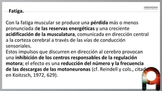 Fatiga.
Con la fatiga muscular se produce una pérdida más o menos
pronunciada de las reservas energéticas y una creciente
acidificación de la musculatura, comunicada en dirección central
a la corteza cerebral a través de las vías de conducción
sensoriales.
Estos impulsos que discurren en dirección al cerebro provocan
una inhibición de los centros responsables de la regulación
motora; el efecto es una reducción del número y la frecuencia
de las descargas de las motoneuronas (cf. Reindell y cols., citado
en Koitzsch, 1972, 629).
 