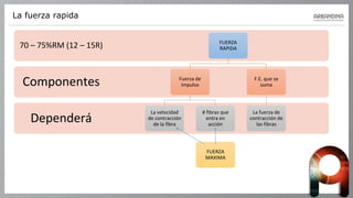 La fuerza rapida
Dependerá
Componentes
70 – 75%RM (12 – 15R) FUERZA
RAPIDA
Fuerza de
impulso
La velocidad
de contracción
de la fibra
# fibras que
entra en
acción
FUERZA
MAXIMA
F.E. que se
suma
La fuerza de
contracción de
las fibras
 